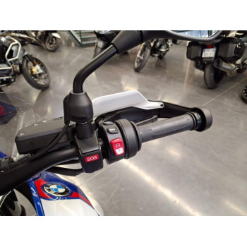 BMW R