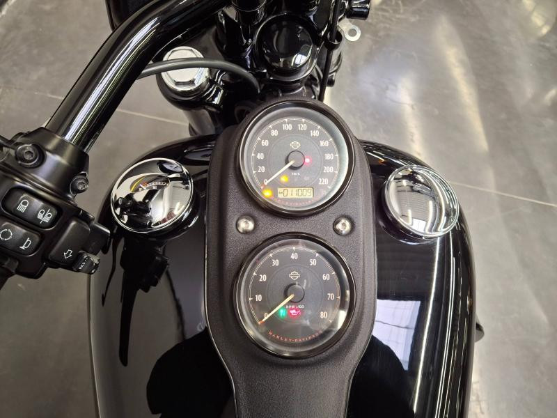 HARLEY-DAVIDSON Dyna Low Rider S