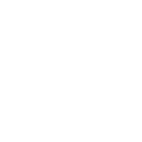 Logo Hyosung